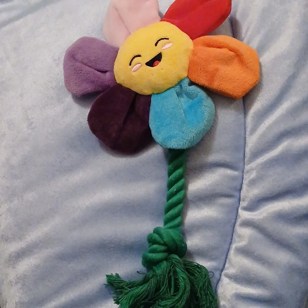 2/$5 Petals the Flower